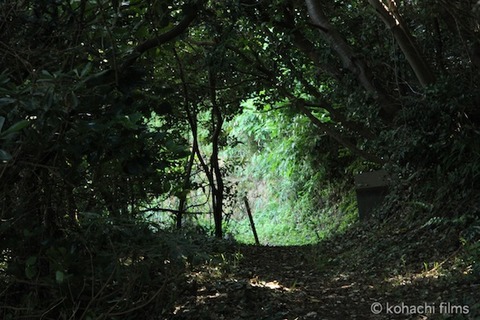 海岸日和_篠島_風景_大潮_2011-07-01 15-09-55