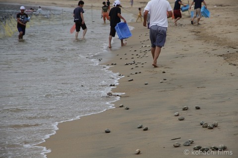 前浜_篠島_風景_観光_夏_魚つかみ取り_2011-07-24 08-53-14