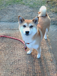 20100503174849