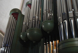 organ