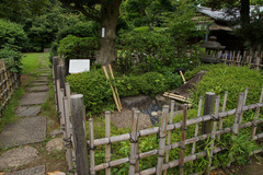 resize1076