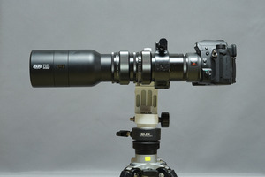 11202d17-s.jpg
