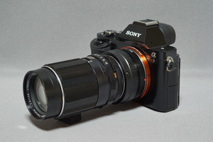 4309ab8e-s.jpg
