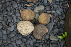 resize1080