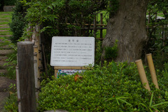 resize1077