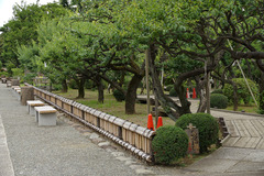 resize1070