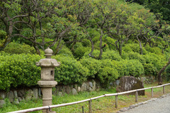 resize1071
