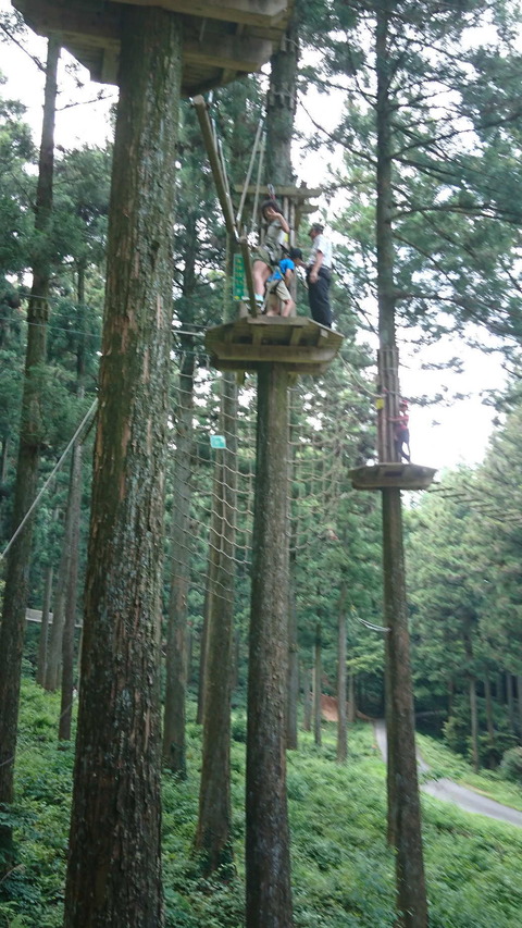forest