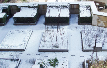 snow_04