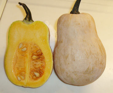 veg-01