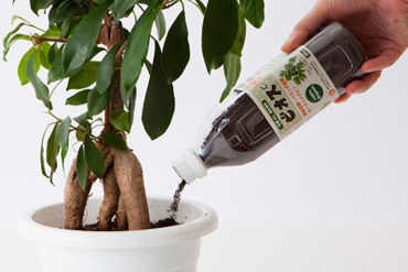 eco-bios-01