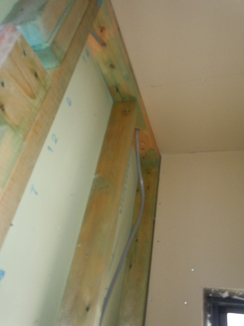DSCN0954
