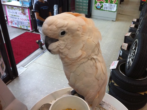 新しいイメージ