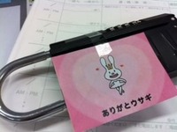 usagi