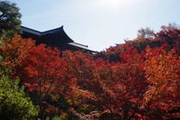 東福寺通天橋