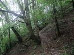和田峠の峠道2