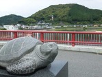 美波町海亀