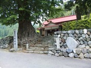 杖杉庵