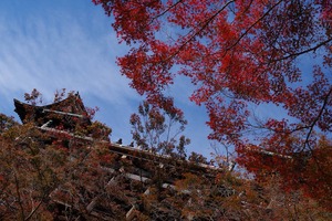 清水の舞台と紅葉