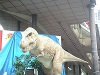 2585d13c.jpg
