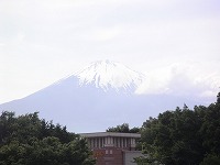 436249e8.jpg