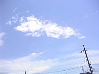 af4d303e.jpg