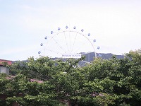 bef2f476.jpg
