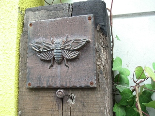 d056ba8f.jpg