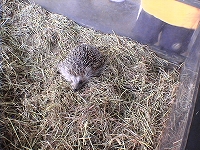 d4242aee.jpg