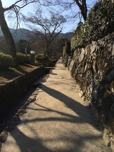 写真 2 (3)