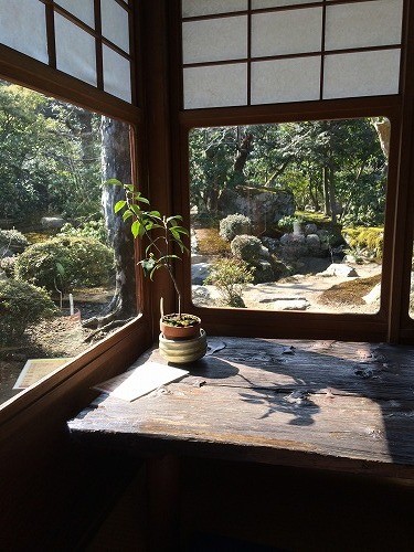 写真 1 (7)