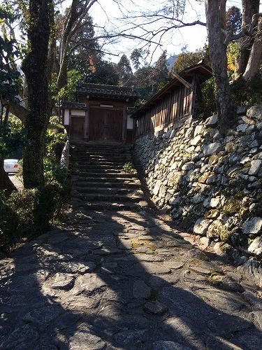 写真 (12)