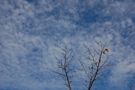 late autumn