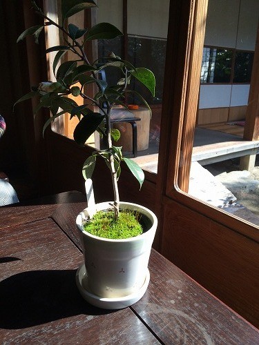 写真 2 (8)