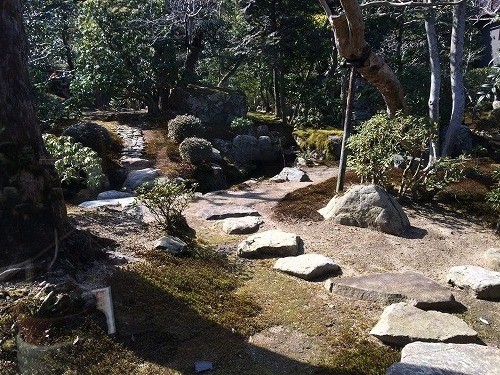 写真 1 (5)