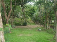 ummatina4