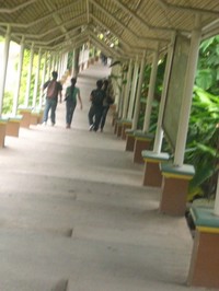 ummatina2