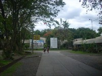 ummatina3