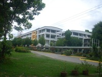 ummatina
