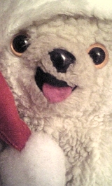e0269af4.jpg