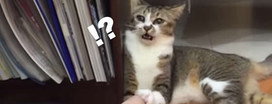 くさっ!!!!