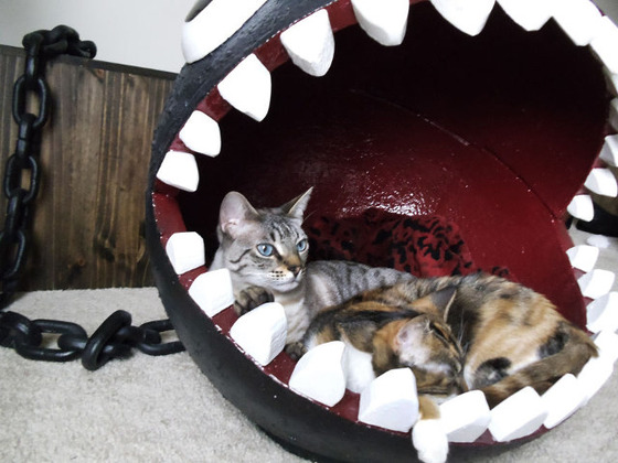 chain-chomp-cat-bed-5