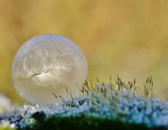 frozen-bubble-kelly6
