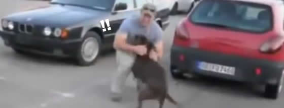 兵士が帰ってきた時の犬の喜びようったらありゃしない