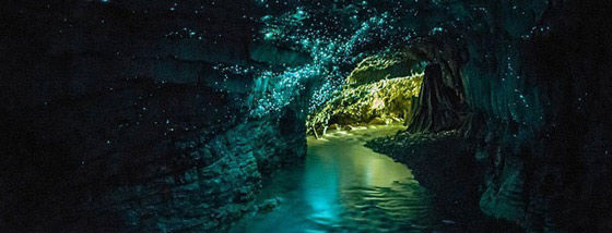 土ボタルの光が神秘的な洞窟1