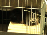 CIMG1552