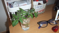 DSCF2685