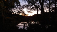 DSCF1929