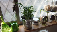 DSCF2683