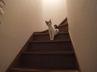 DSCF1153